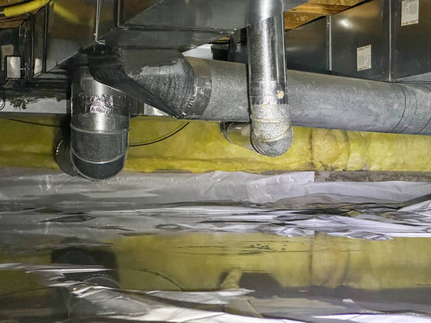Best Residential water damage restoration  in Wliamsvle, IL